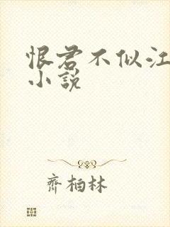 恨君不似江楼月小说封面