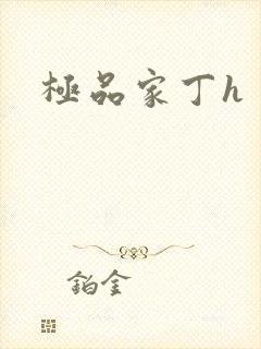 极品家丁h封面