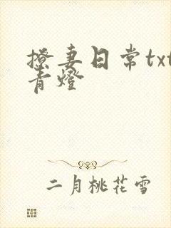 撩妻日常txt青灯