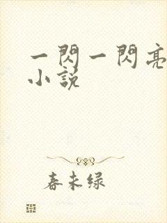 一闪一闪亮星星小说