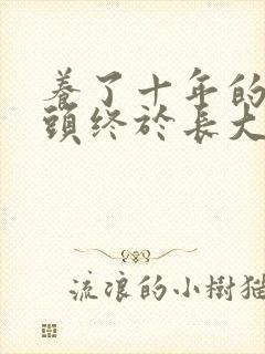 养了十年的小丫头终于长大了