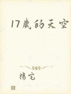 17岁的天空封面