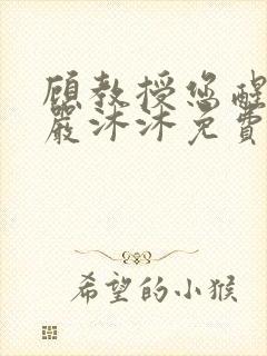 顾教授您醒了吗严沐沐免费阅读全文小说