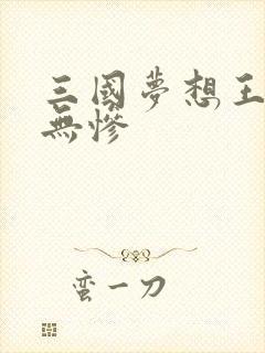 三国梦想王元姬无惨
