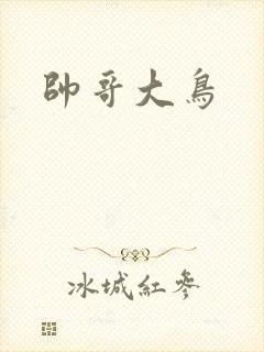 帅哥大鸟