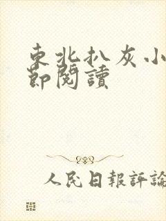 东北扒灰小说分节阅读