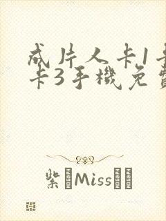 成片人卡1卡2卡3手机免费看封面