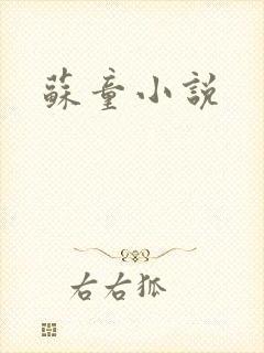 苏童小说