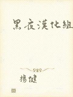 黑夜汉化组
