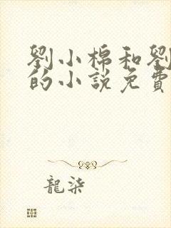 刘小棉和刘易文的小说免费阅读封面