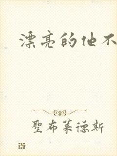 漂亮的他不说话