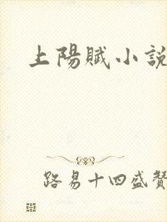 上阳赋小说封面