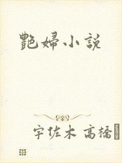 艳妇小说
