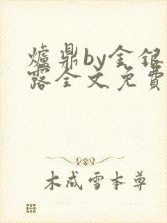 炉鼎by金银花露全文免费阅读笔趣阁