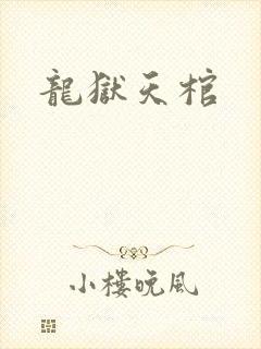 龙狱天棺封面