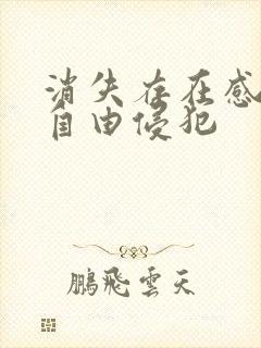 消失存在感消失自由侵犯