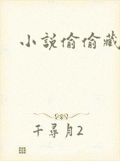 小说偷偷藏不住