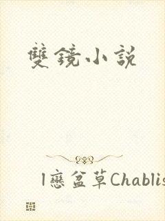 双镜小说