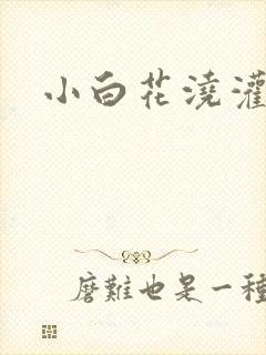 小白花浇灌日常