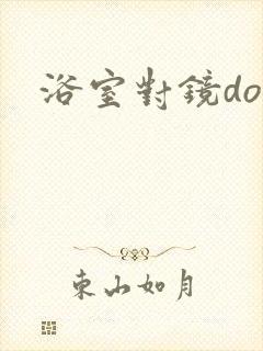 浴室对镜doi