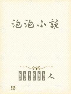 泡泡小说封面