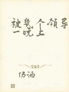 被几个领导玩弄一晚上