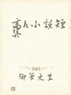 高h小说短篇合集封面