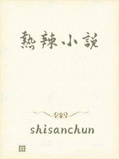 热辣小说封面