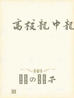 高校龙中龙封面