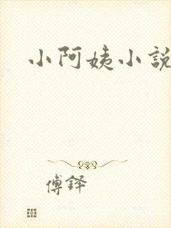 小阿姨小说