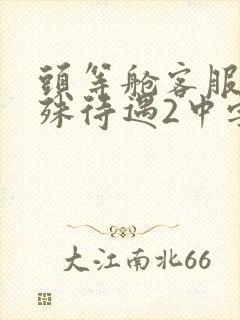 头等舱客服的特殊待遇2中字