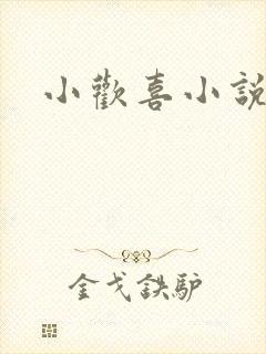 小欢喜小说
