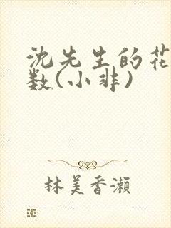沈先生的花式调数(小非)封面