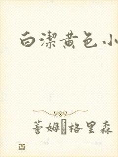 白洁黄色小说