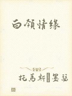 白领情缘