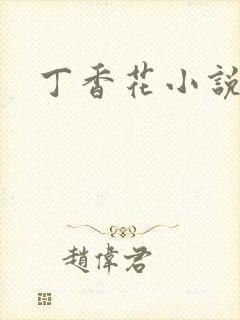 丁香花小说
