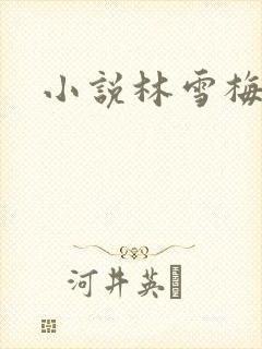 小说林雪梅
