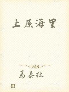 上原海里