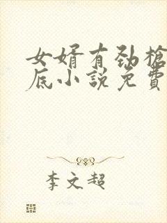 女婿有劲枪枪到底小说免费看封面