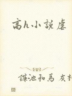 高h小说虐