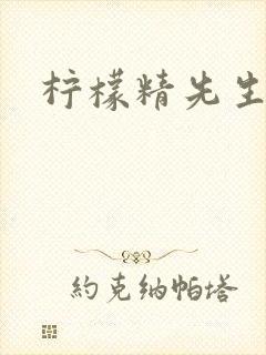 柠檬精先生