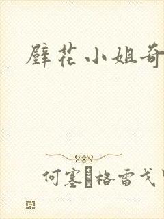 壁花小姐奇遇记