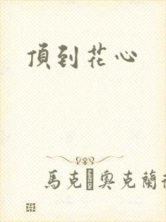 顶到花心封面