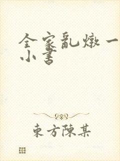 全家乱炖一锅烩小书