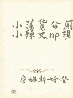 小荡货公厕h文小辣文np视频