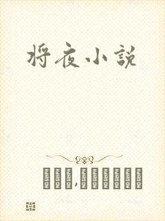 将夜小说封面