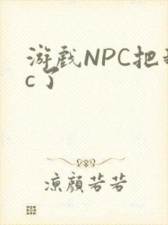 游戏NPC把我c了