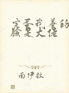 完蛋我养的小白脸是大佬