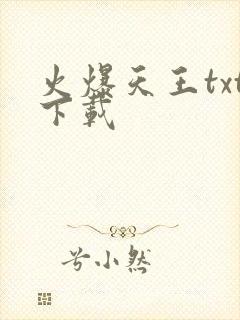 火爆天王txt下载