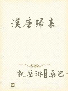 汉唐归来